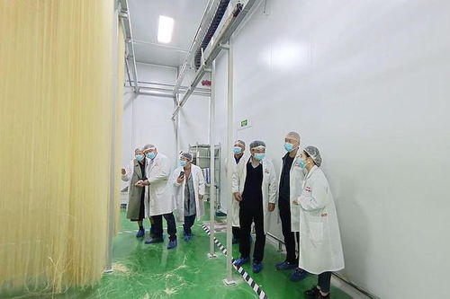 潢川欣然工藝品公司 以匠心傳承，打造民間文化教育與研學(xué)旅行新標(biāo)桿
